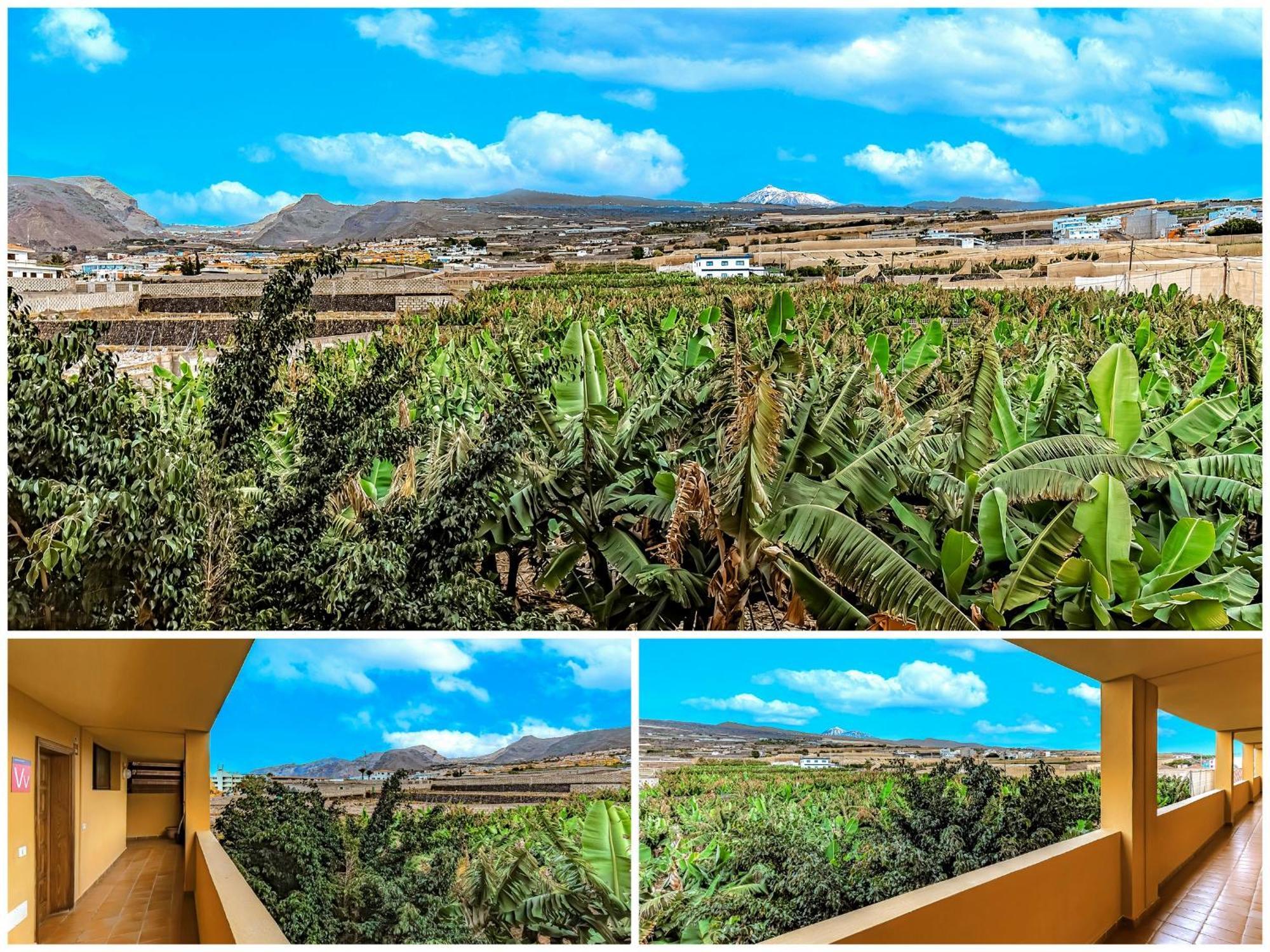 פוארטו דה סנטיאגו Sunflower Sea And Teide View מראה חיצוני תמונה
